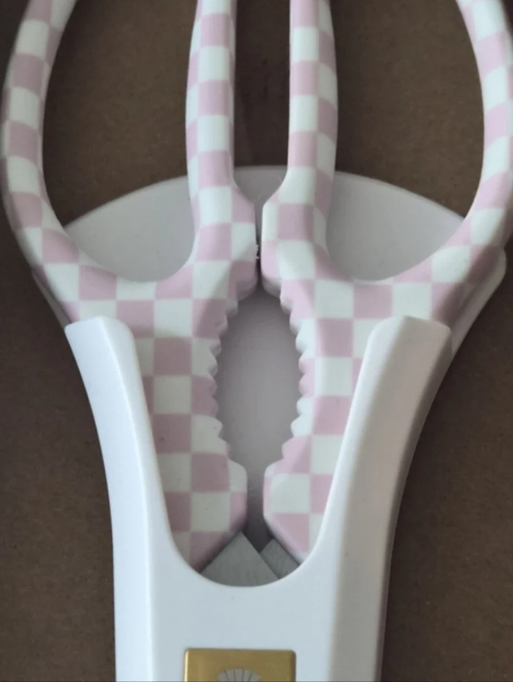 Mackenzie-Childs Pink Check Kitchen Shears